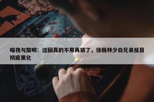 暗夜与黎明：这回真的不用再猜了，徐巍林少白兄弟反目彻底黑化