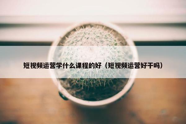 短视频运营学什么课程的好（短视频运营好干吗）