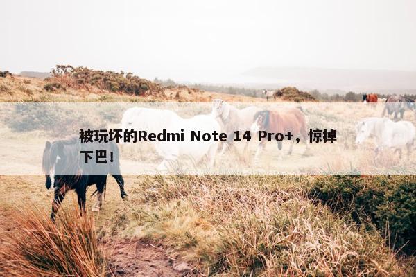 被玩坏的Redmi Note 14 Pro+，惊掉下巴！