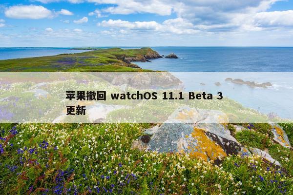 苹果撤回 watchOS 11.1 Beta 3 更新