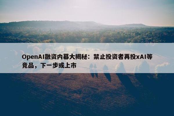 OpenAI融资内幕大揭秘：禁止投资者再投xAI等竞品，下一步或上市