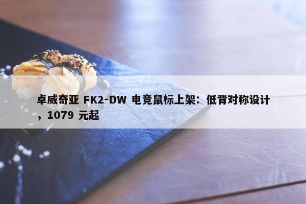 卓威奇亚 FK2-DW 电竞鼠标上架：低背对称设计，1079 元起