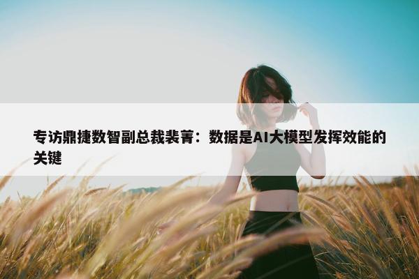 专访鼎捷数智副总裁裴菁：数据是AI大模型发挥效能的关键