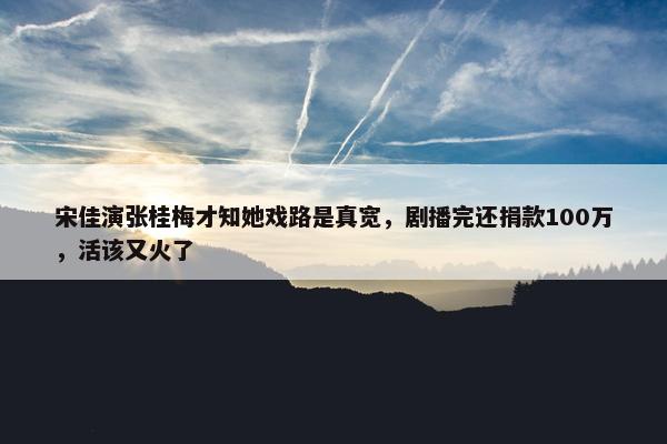 宋佳演张桂梅才知她戏路是真宽，剧播完还捐款100万，活该又火了