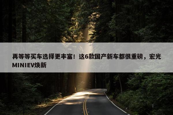 再等等买车选择更丰富！这6款国产新车都很重磅，宏光MINIEV焕新