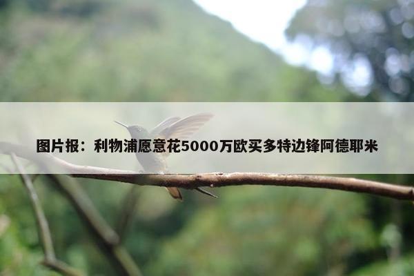 图片报：利物浦愿意花5000万欧买多特边锋阿德耶米