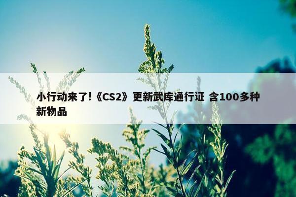 小行动来了!《CS2》更新武库通行证 含100多种新物品