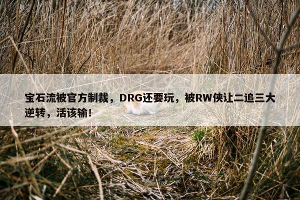 宝石流被官方制裁，DRG还要玩，被RW侠让二追三大逆转，活该输！