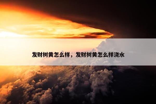 发财树黄怎么样，发财树黄怎么样浇水