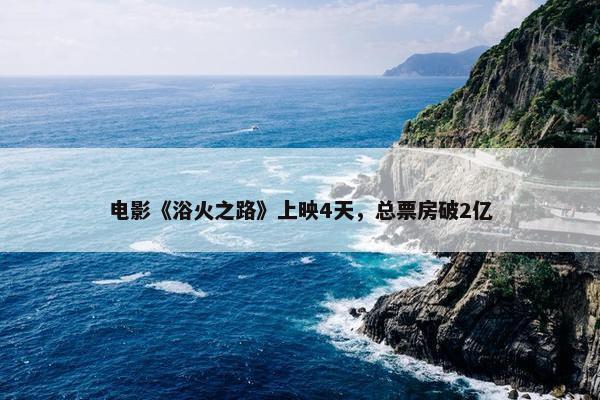 电影《浴火之路》上映4天，总票房破2亿