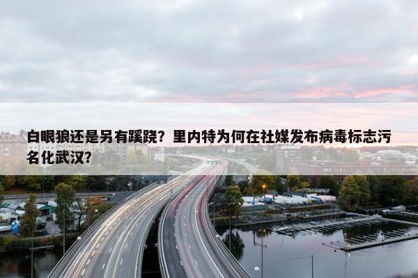 白眼狼还是另有蹊跷？里内特为何在社媒发布病毒标志污名化武汉？