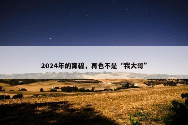 2024年的育碧，再也不是“我大哥”