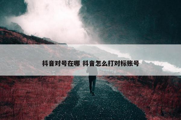 抖音对号在哪 抖音怎么打对标账号