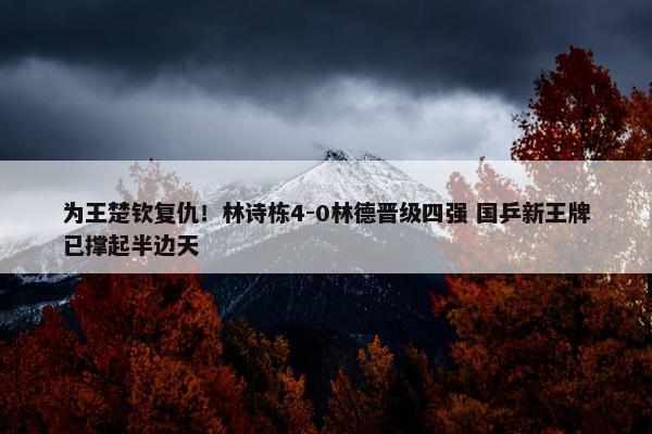 为王楚钦复仇！林诗栋4-0林德晋级四强 国乒新王牌已撑起半边天