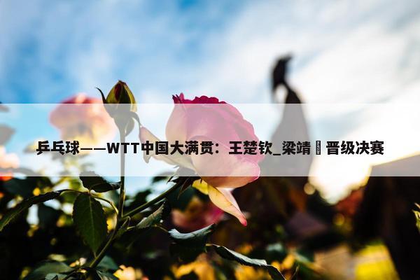 乒乓球——WTT中国大满贯：王楚钦_梁靖崑晋级决赛