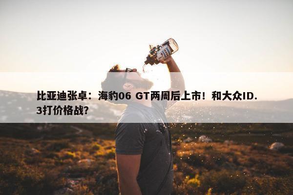 比亚迪张卓：海豹06 GT两周后上市！和大众ID.3打价格战？