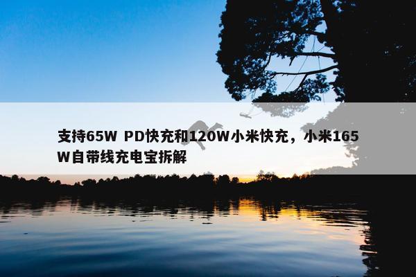 支持65W PD快充和120W小米快充，小米165W自带线充电宝拆解