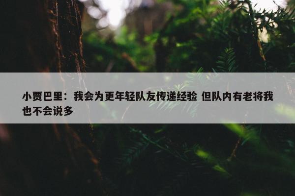 小贾巴里：我会为更年轻队友传递经验 但队内有老将我也不会说多