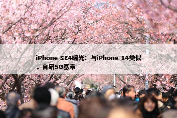 iPhone SE4曝光：与iPhone 14类似，自研5G基带