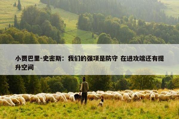 小贾巴里-史密斯：我们的强项是防守 在进攻端还有提升空间