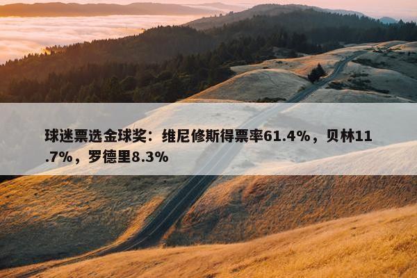 球迷票选金球奖：维尼修斯得票率61.4%，贝林11.7%，罗德里8.3%