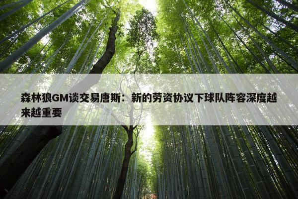 森林狼GM谈交易唐斯：新的劳资协议下球队阵容深度越来越重要