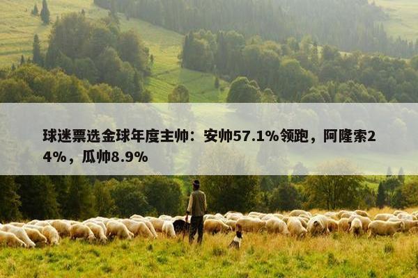 球迷票选金球年度主帅：安帅57.1%领跑，阿隆索24%，瓜帅8.9%