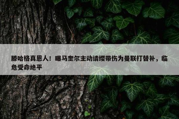 滕哈格真恩人！曝马奎尔主动请缨带伤为曼联打替补，临危受命绝平