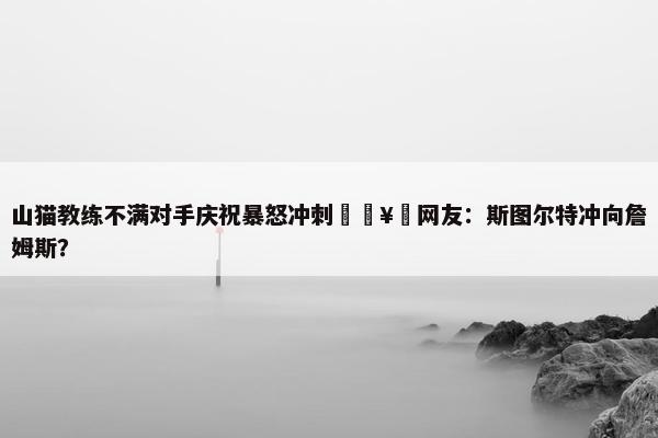 山猫教练不满对手庆祝暴怒冲刺🥵网友：斯图尔特冲向詹姆斯？