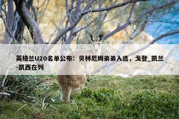 英格兰U20名单公布：贝林厄姆弟弟入选，戈登_凯兰-凯西在列