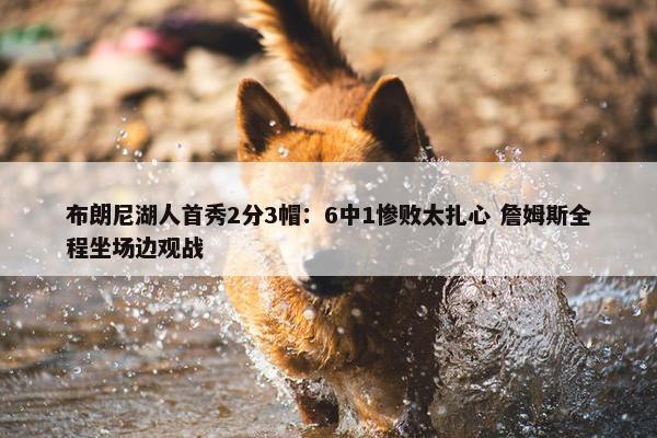 布朗尼湖人首秀2分3帽：6中1惨败太扎心 詹姆斯全程坐场边观战