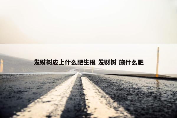 发财树应上什么肥生根 发财树 施什么肥