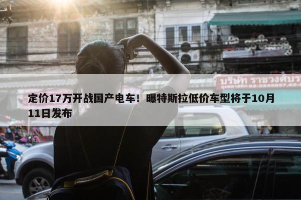 定价17万开战国产电车！曝特斯拉低价车型将于10月11日发布