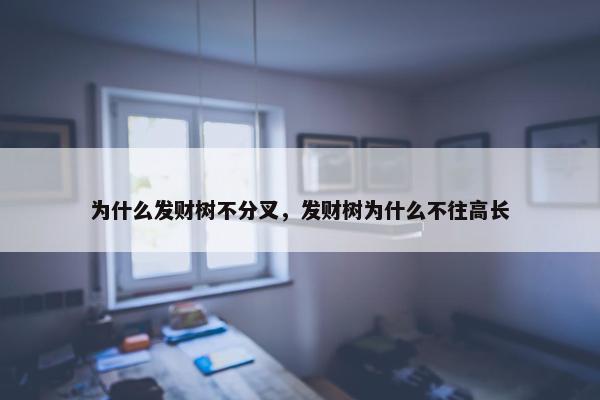 为什么发财树不分叉，发财树为什么不往高长