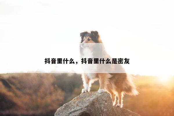 抖音里什么，抖音里什么是密友