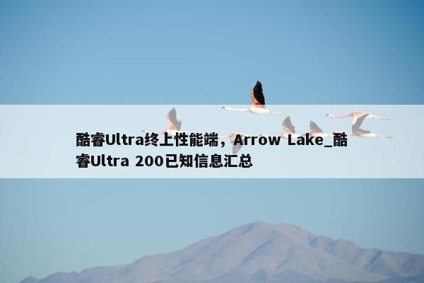 酷睿Ultra终上性能端，Arrow Lake_酷睿Ultra 200已知信息汇总