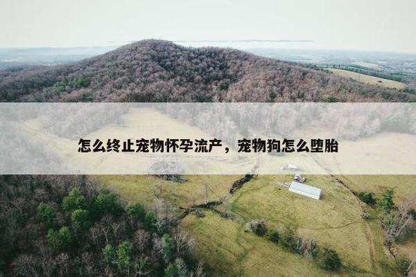 怎么终止宠物怀孕流产，宠物狗怎么堕胎