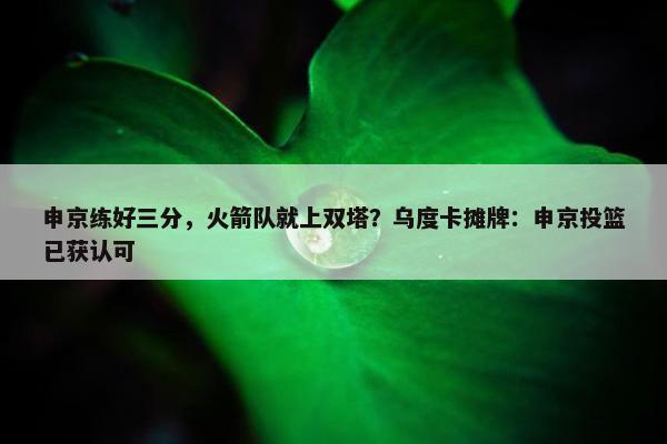 申京练好三分，火箭队就上双塔？乌度卡摊牌：申京投篮已获认可