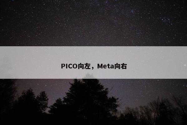 PICO向左，Meta向右