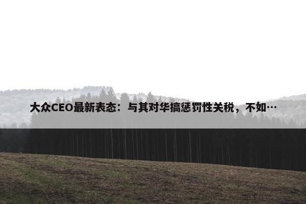 大众CEO最新表态：与其对华搞惩罚性关税，不如…