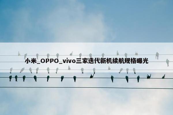 小米_OPPO_vivo三家迭代新机续航规格曝光