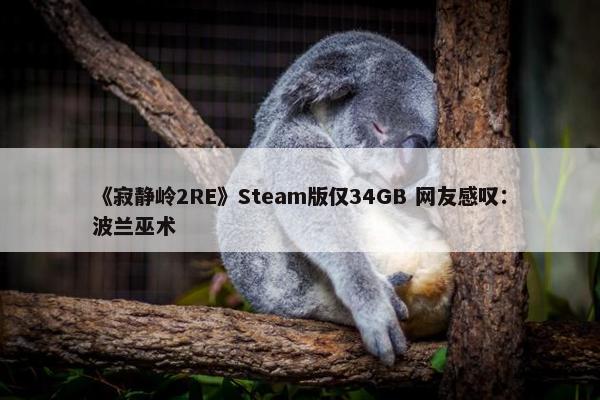 《寂静岭2RE》Steam版仅34GB 网友感叹：波兰巫术