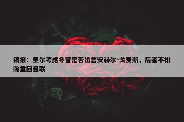 镜报：里尔考虑冬窗是否出售安赫尔-戈麦斯，后者不排除重回曼联