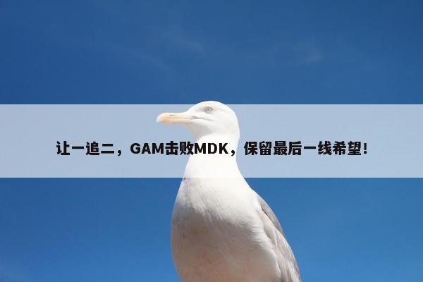 让一追二，GAM击败MDK，保留最后一线希望！