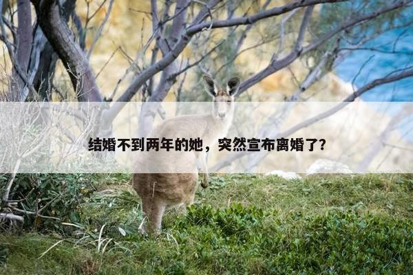 结婚不到两年的她，突然宣布离婚了？