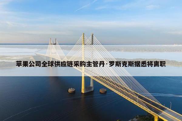 苹果公司全球供应链采购主管丹·罗斯克斯据悉将离职