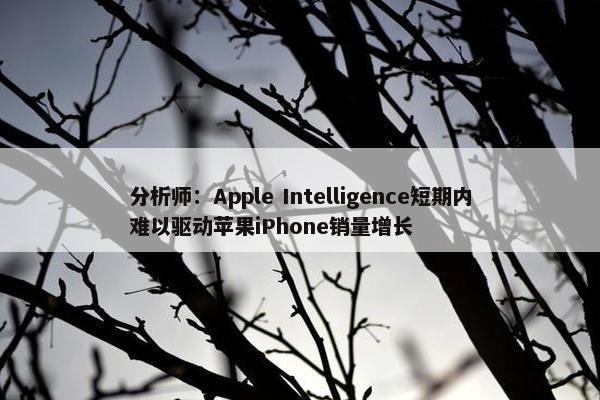 分析师：Apple Intelligence短期内难以驱动苹果iPhone销量增长