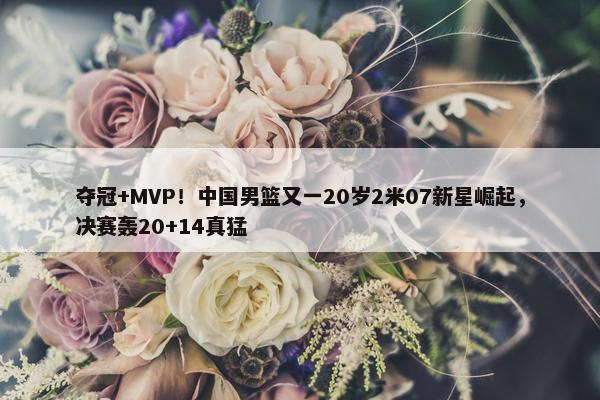 夺冠+MVP！中国男篮又一20岁2米07新星崛起，决赛轰20+14真猛