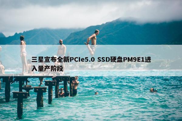 三星宣布全新PCIe5.0 SSD硬盘PM9E1进入量产阶段