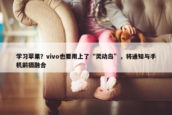 学习苹果？vivo也要用上了“灵动岛”，将通知与手机前摄融合